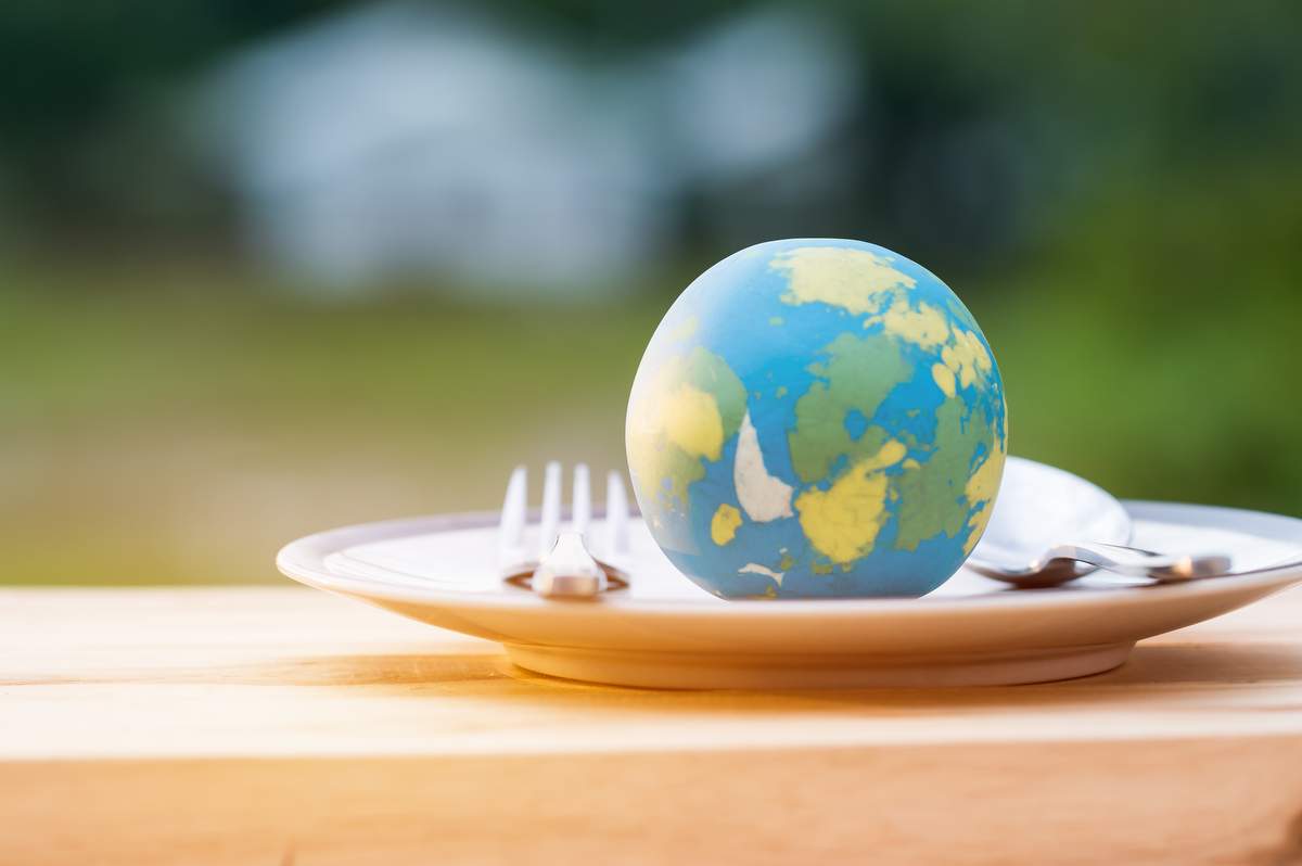 Dünyada üretilen gıdanın üçte biri israf ediliyor  