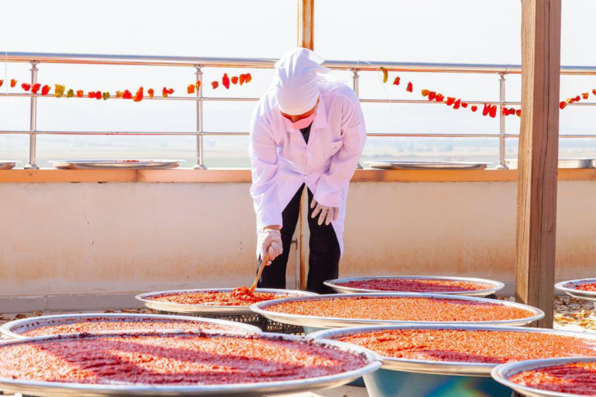 Urfa Agro Kadın Girişimi, kentin tescilli lezzetlerini yurt dışına taşıyacak