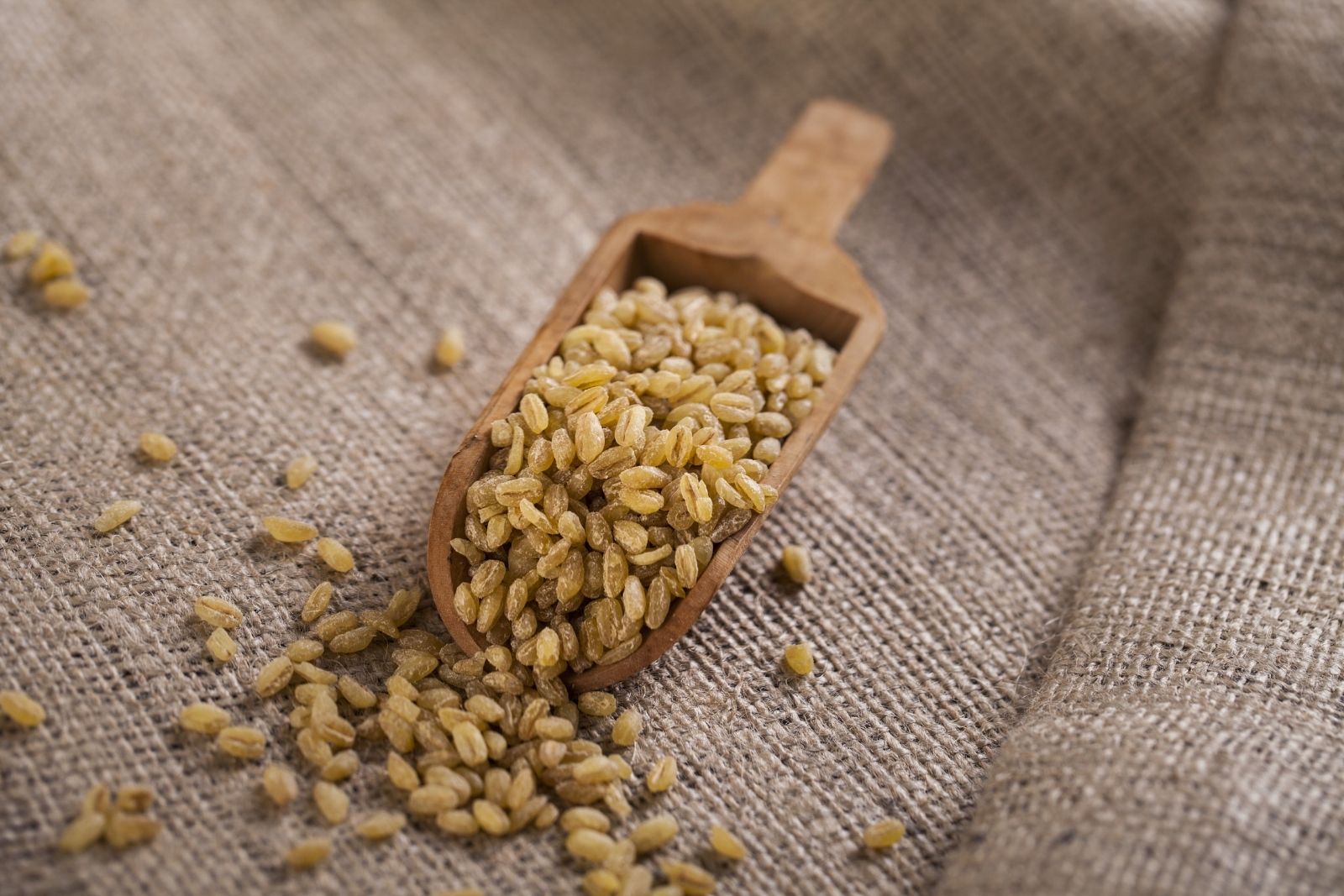 2 bin yıllık  ata tohumu Ahmet Buğdayı Projesi tamamlandı