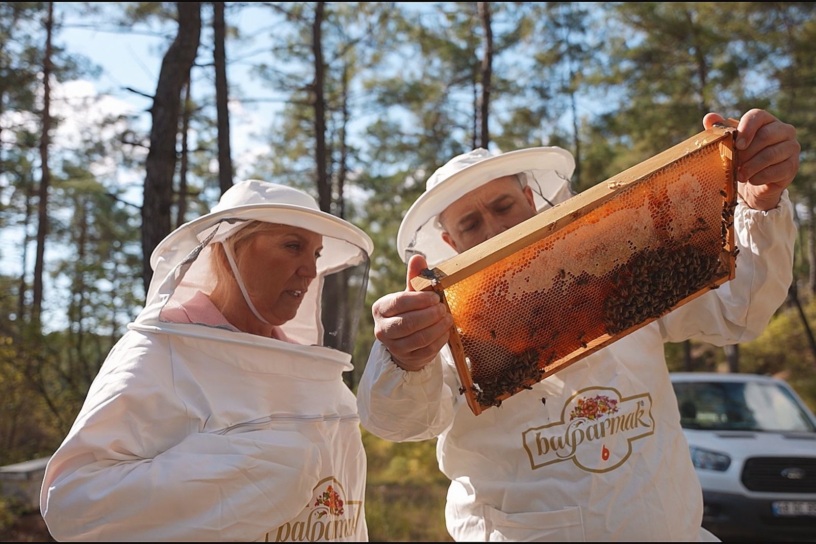Türk çam balı coğrafi işaretle dünyaya pazarlarına açılacak
