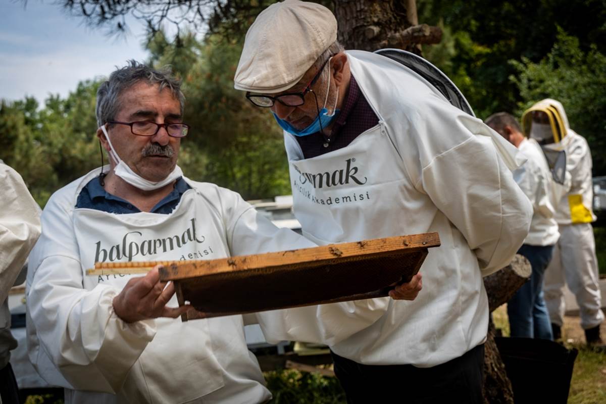 Balparmak, İstanbul’a yeni arıcılar kazandırdı