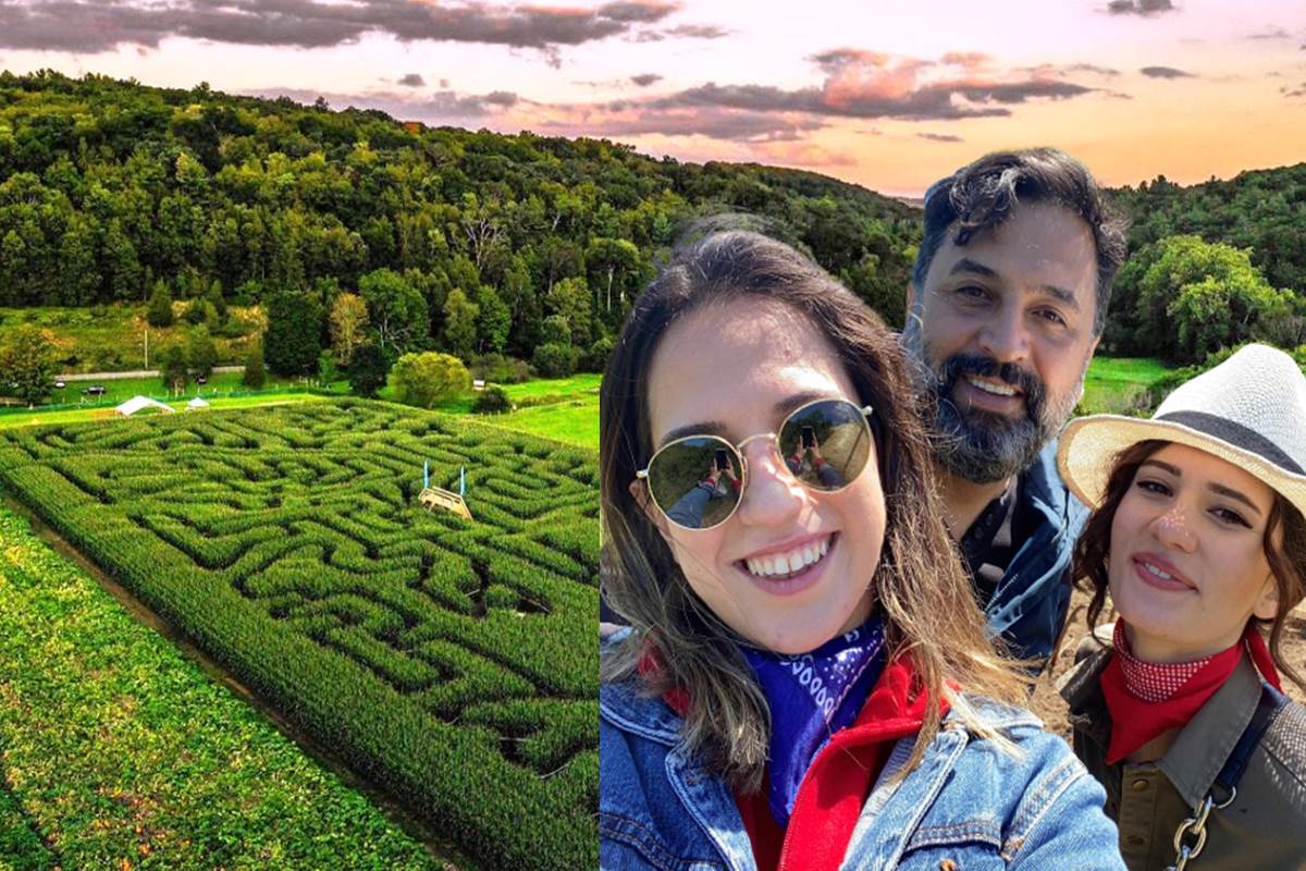 En yeni trend LABİRENT: Corn maze artık Türkiye’de