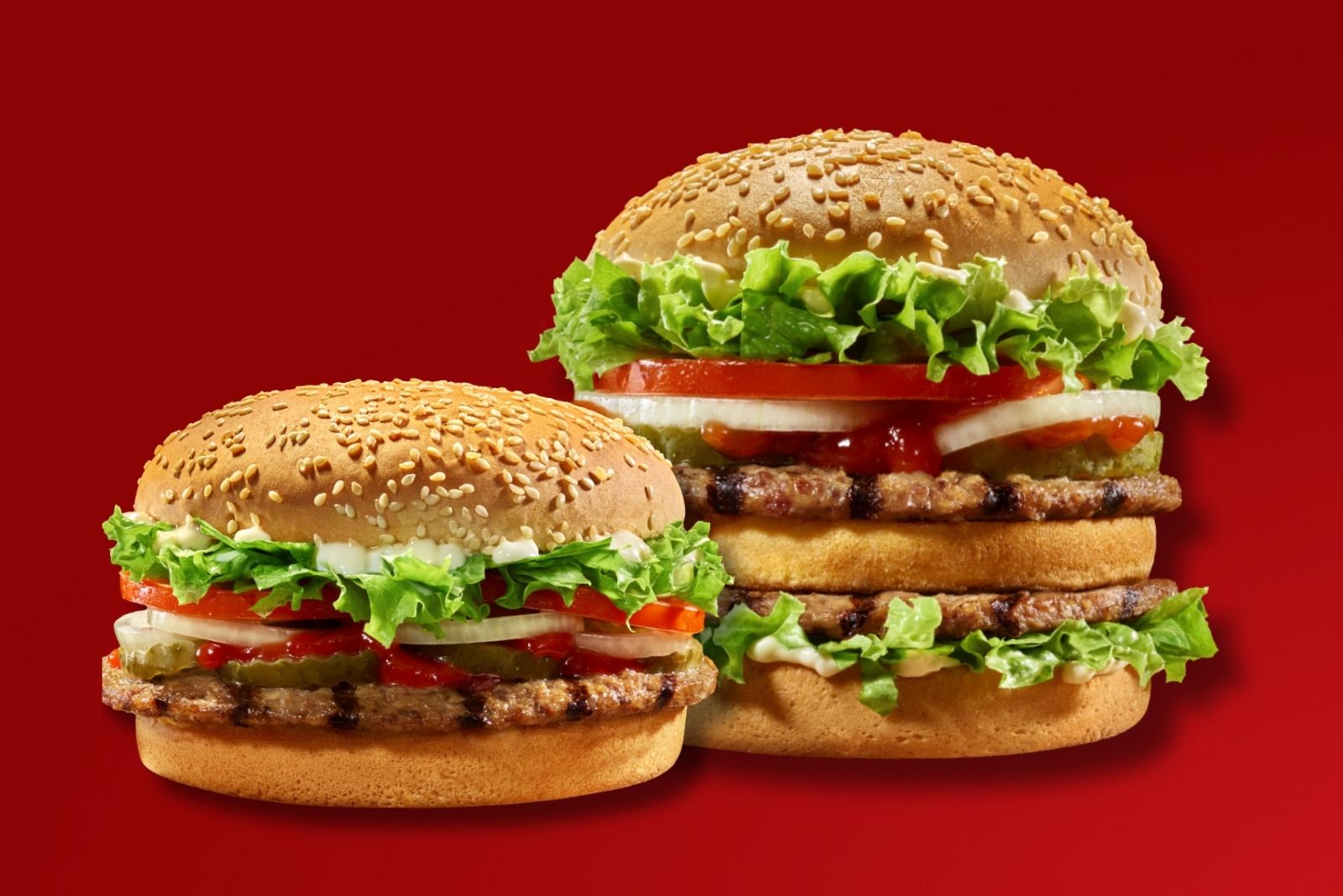 Kadri Burger ve Kadrinin Abisi Burger