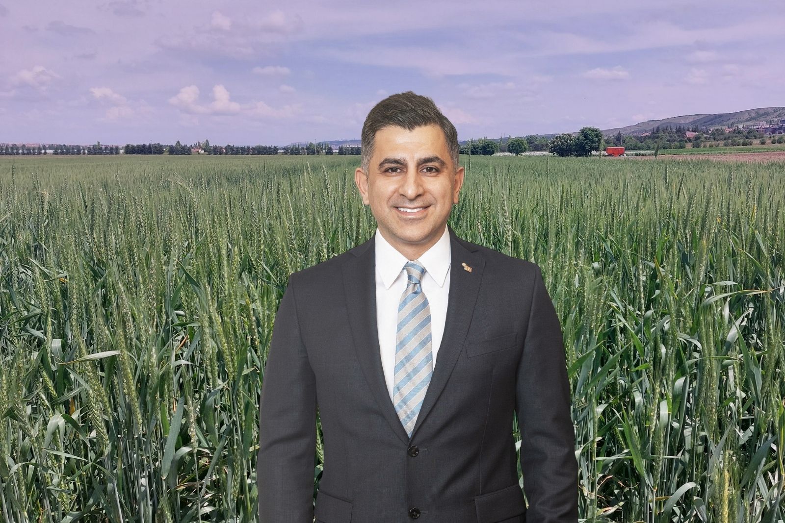 ETİ kurak iklim koşullarına dayanıklı yerli buğday çeşidi 'Kanatlı Buğday' üretimine başladı 