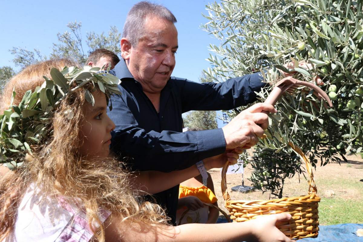 Muhittin Böcek: Zeytin ağacımıza sahip çıkmaya devam edeceğiz