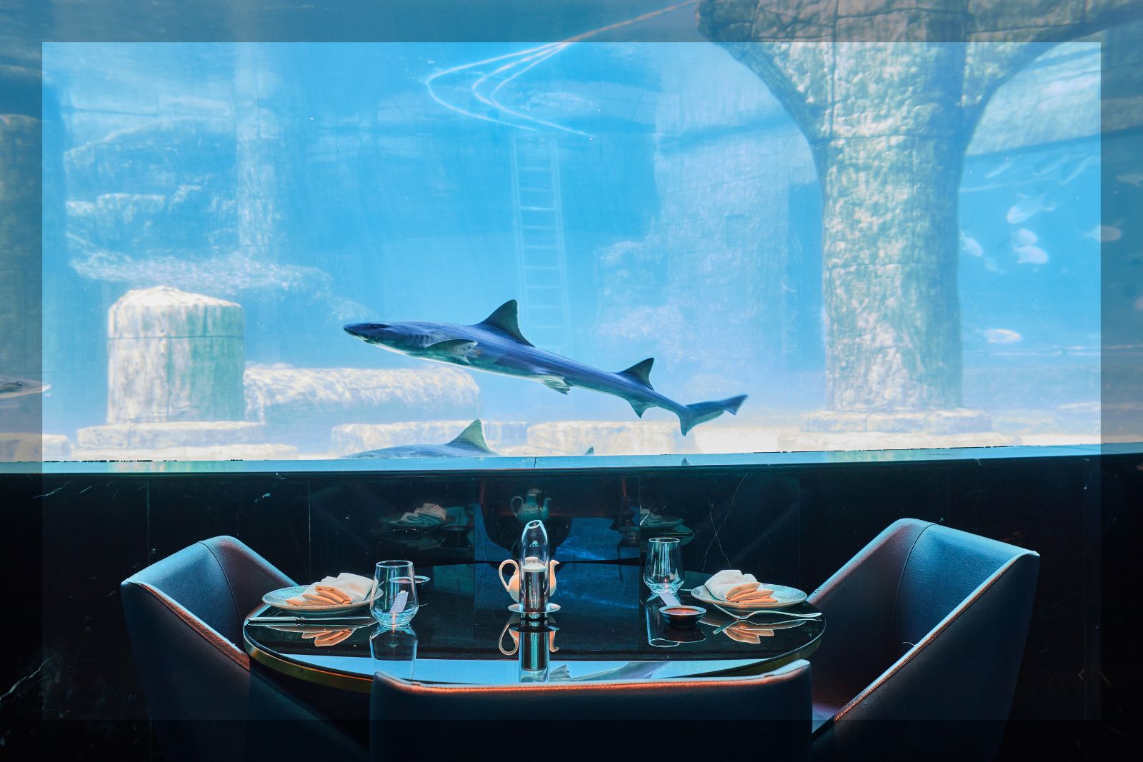 Nemo, deniz altı dünyasından ilham alan atmosferiyle İstanbul’da 