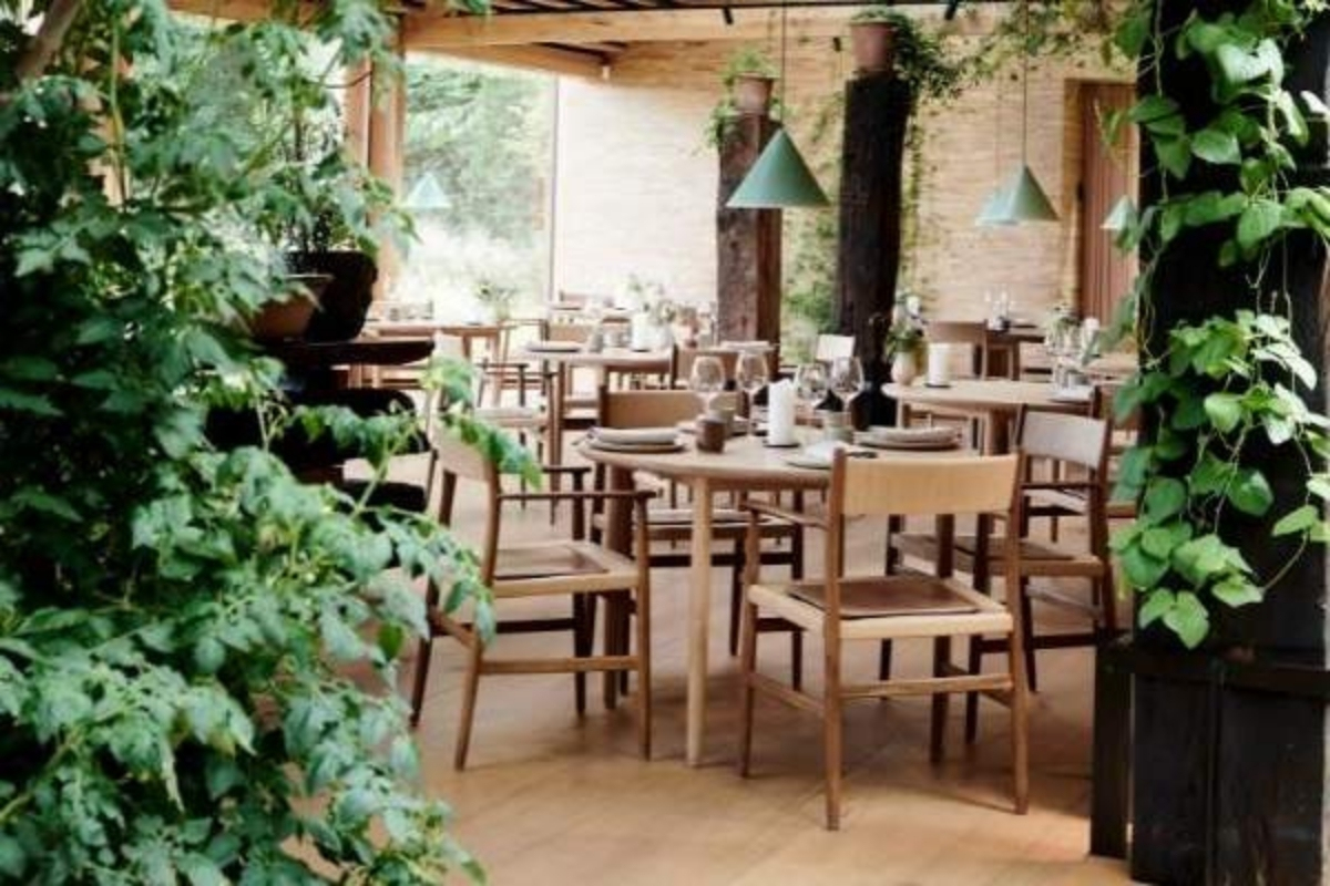 Ünlü restoran Noma, 4 yılda ilk kez zarar açıkladı