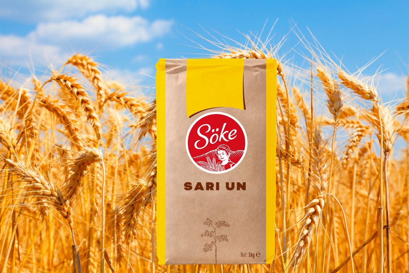 Söke sarı un