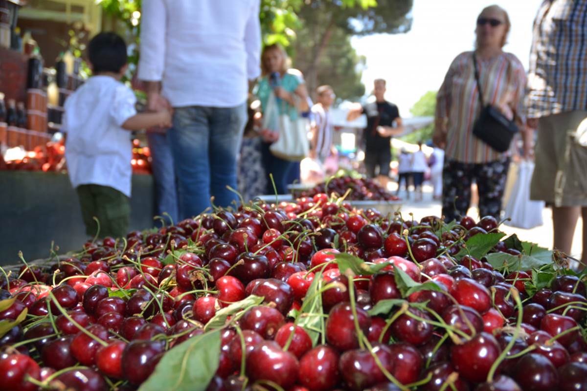 Sezonun ilk kirazları : Tarlada 7, markette 30 TL