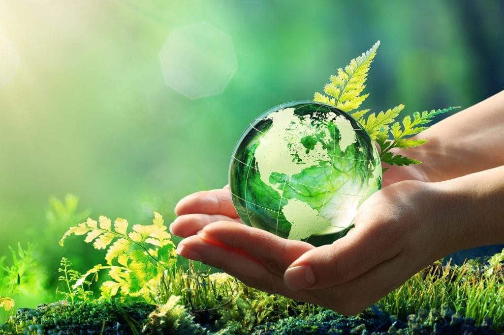 Vegan ve ekolojik hijyen ürünleri tercih etmek için 3 sebep
