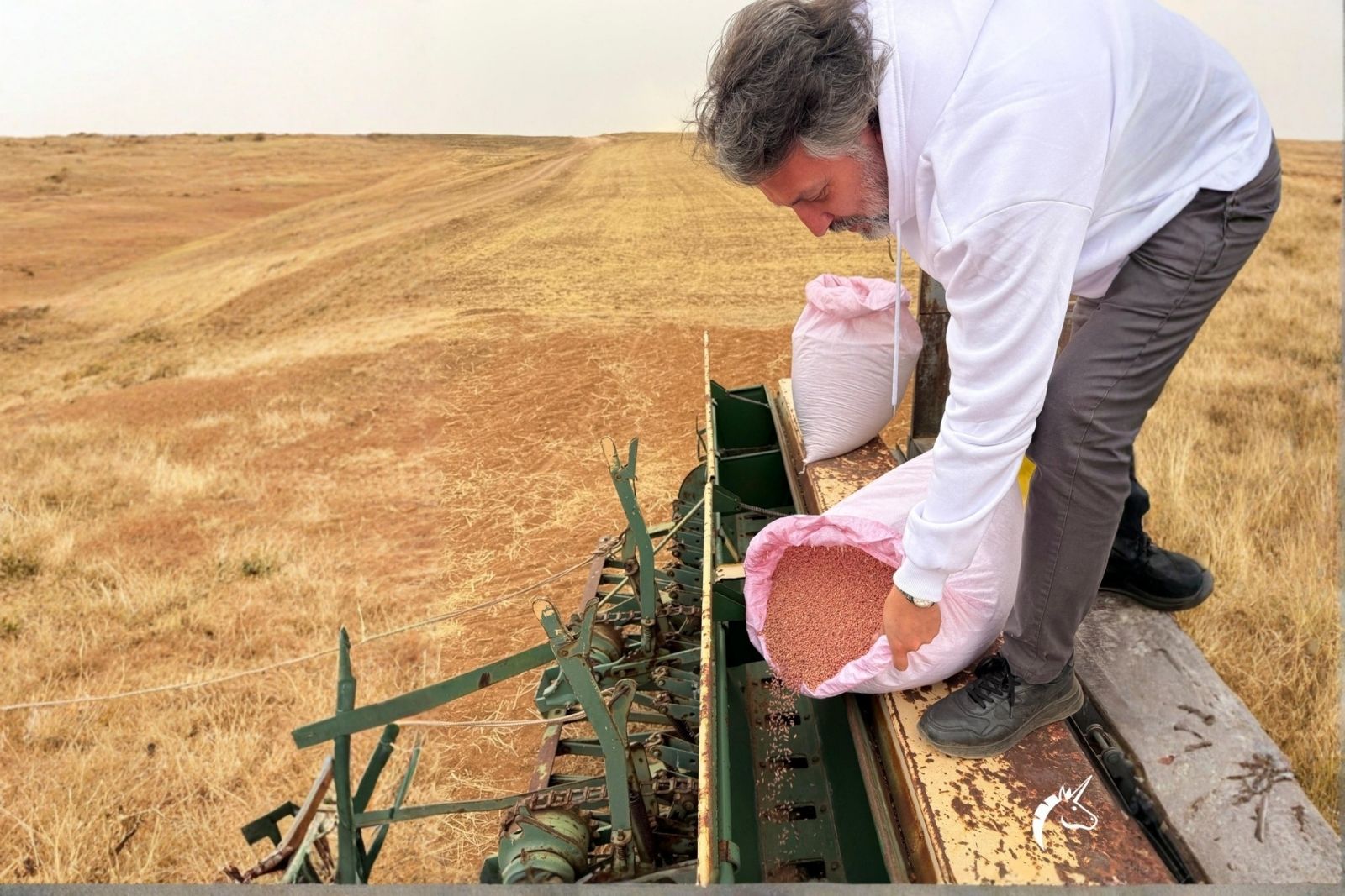 Anadolu’nun Yadigârı Zerun toprakla buluştu
