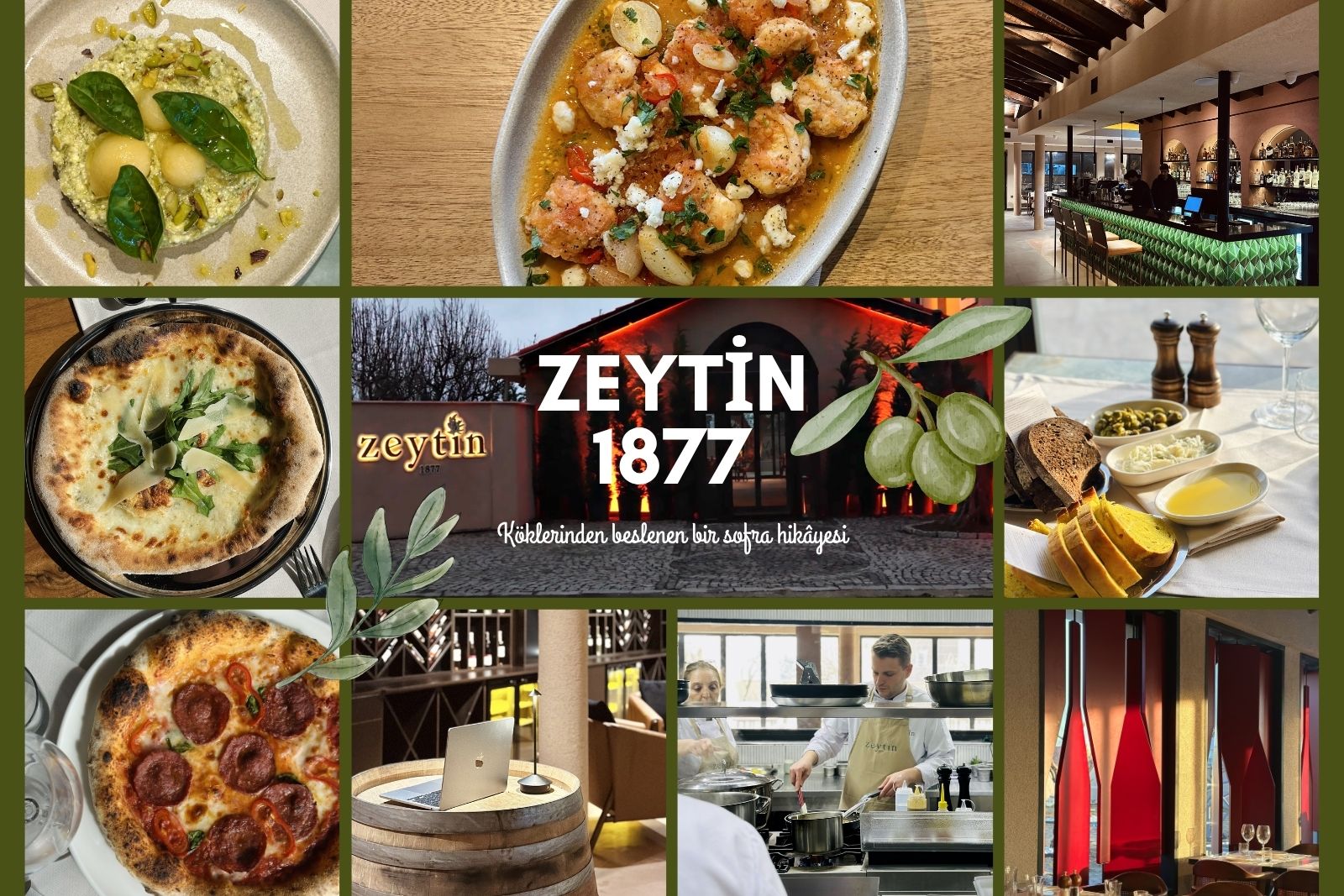 Köklerinden beslenen bir sofra hikâyesi Zeytin 1877