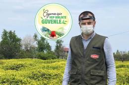 Lipton’dan çay hasadı için üreticilere hijyen desteği