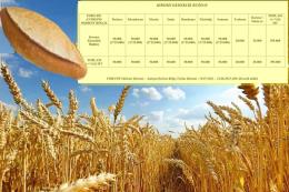TMO’dan 395 bin ton ekmeklik buğday ithalatı